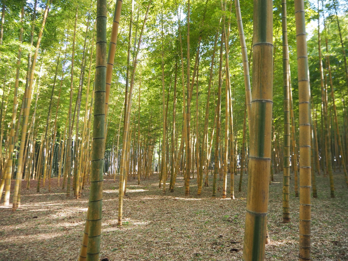 若山農場7