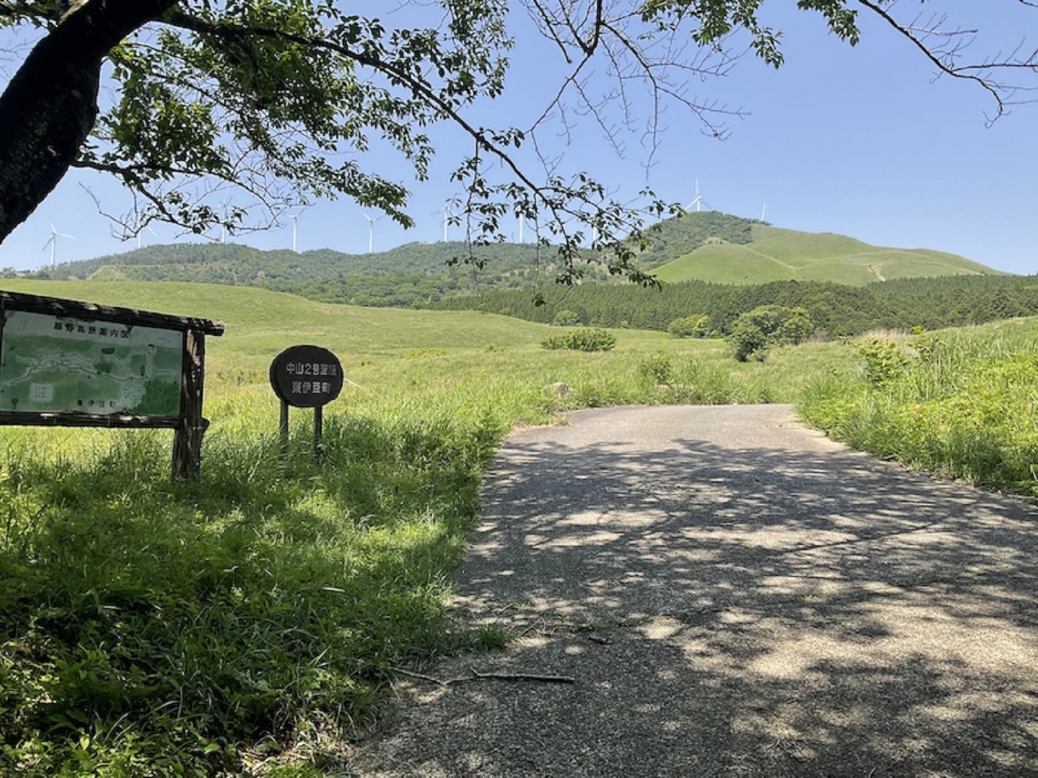 稲取細野高原