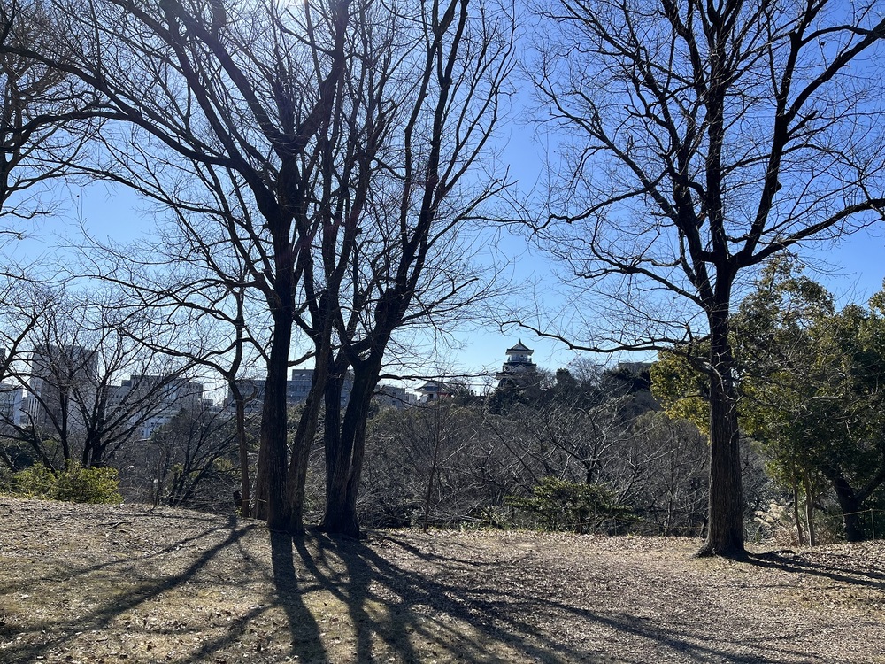 浜松城公園