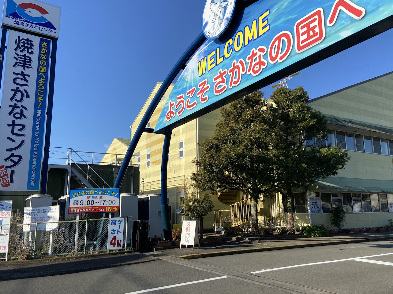 yaidusakana1-1