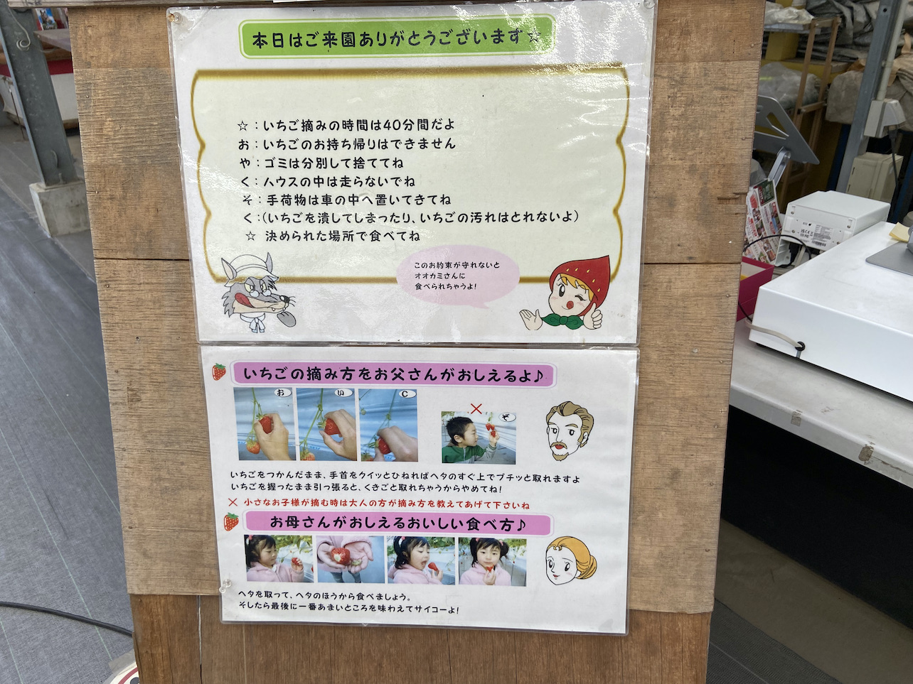 akazukin2-2