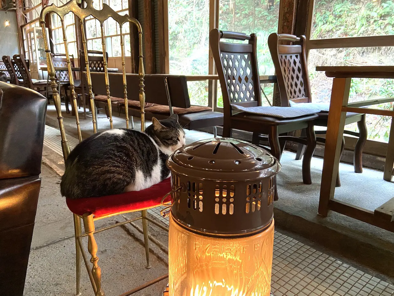 猫たちがお出迎え。掛川のレトロカフェ「Antique Cafe Road」 | たび