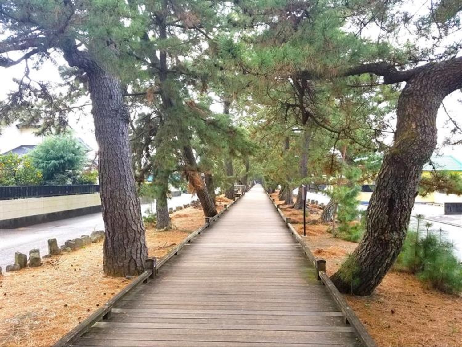 神の道