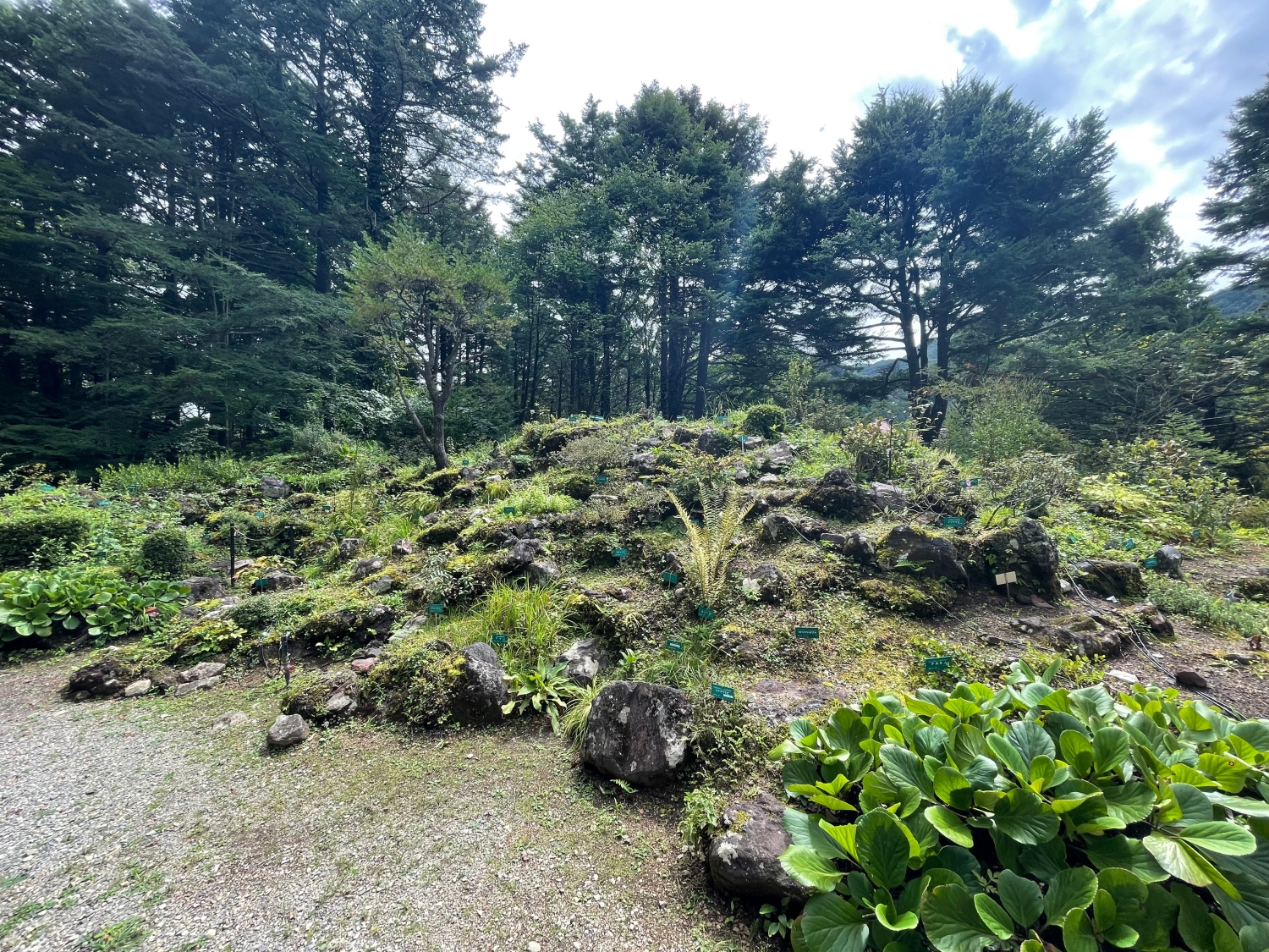日光植物園