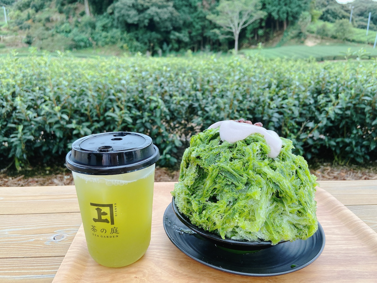 茶の庭