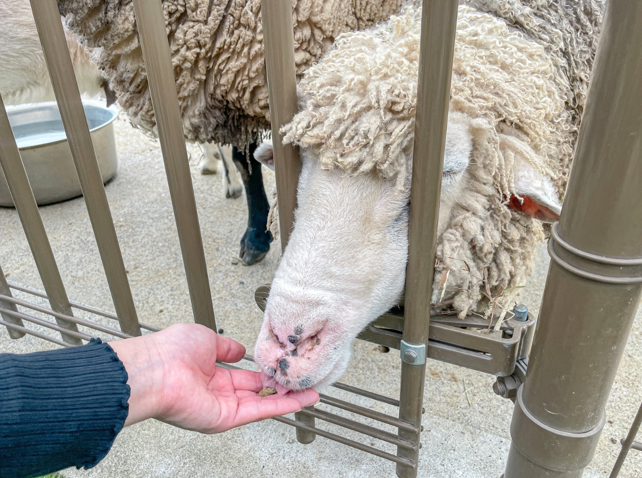 浜松市動物園