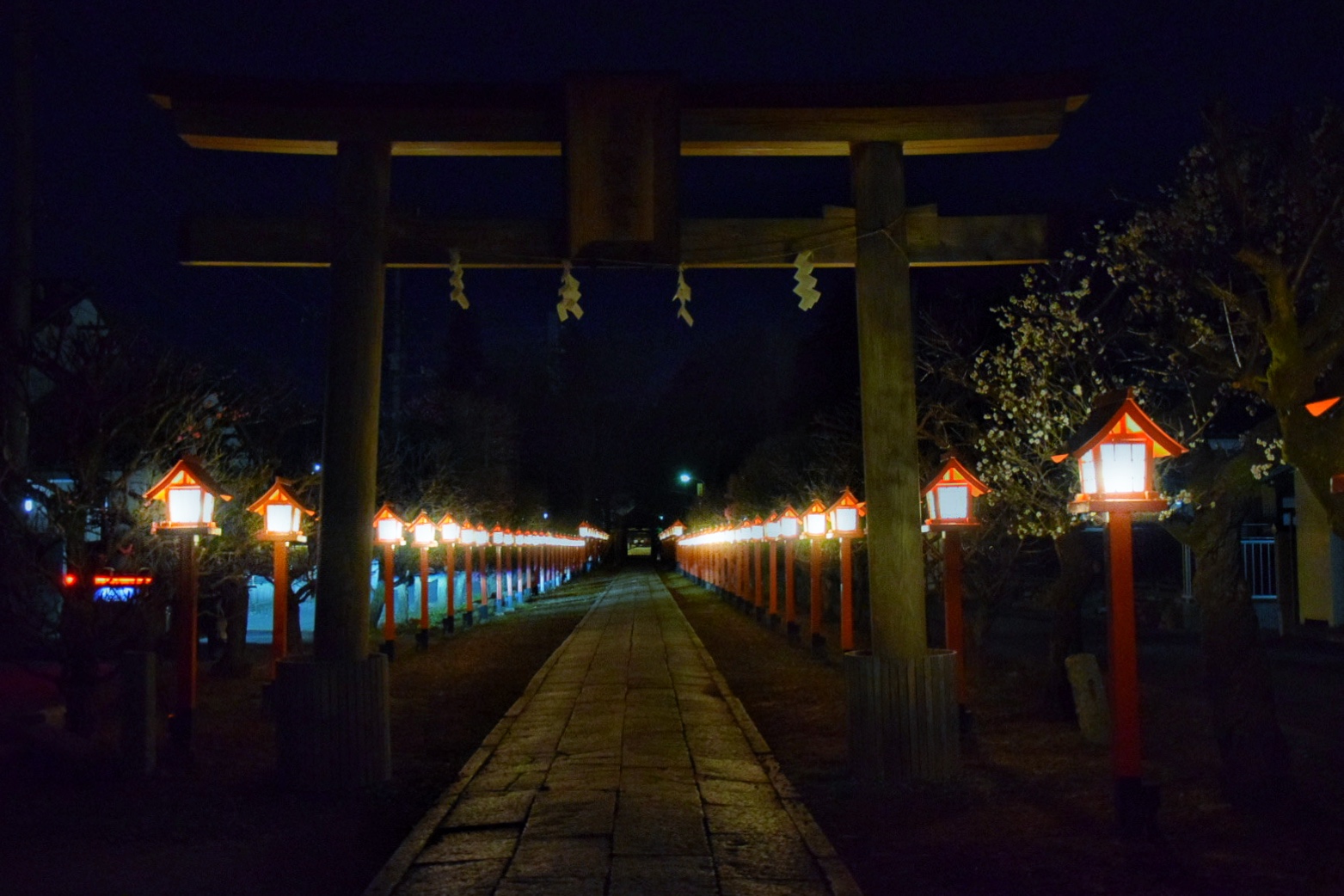 朝日森天満宮_夜_参道