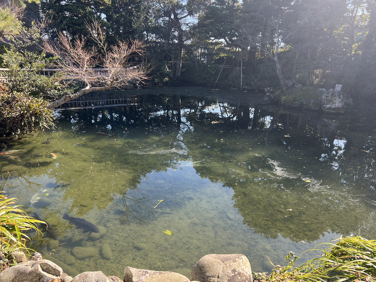 清水邸2