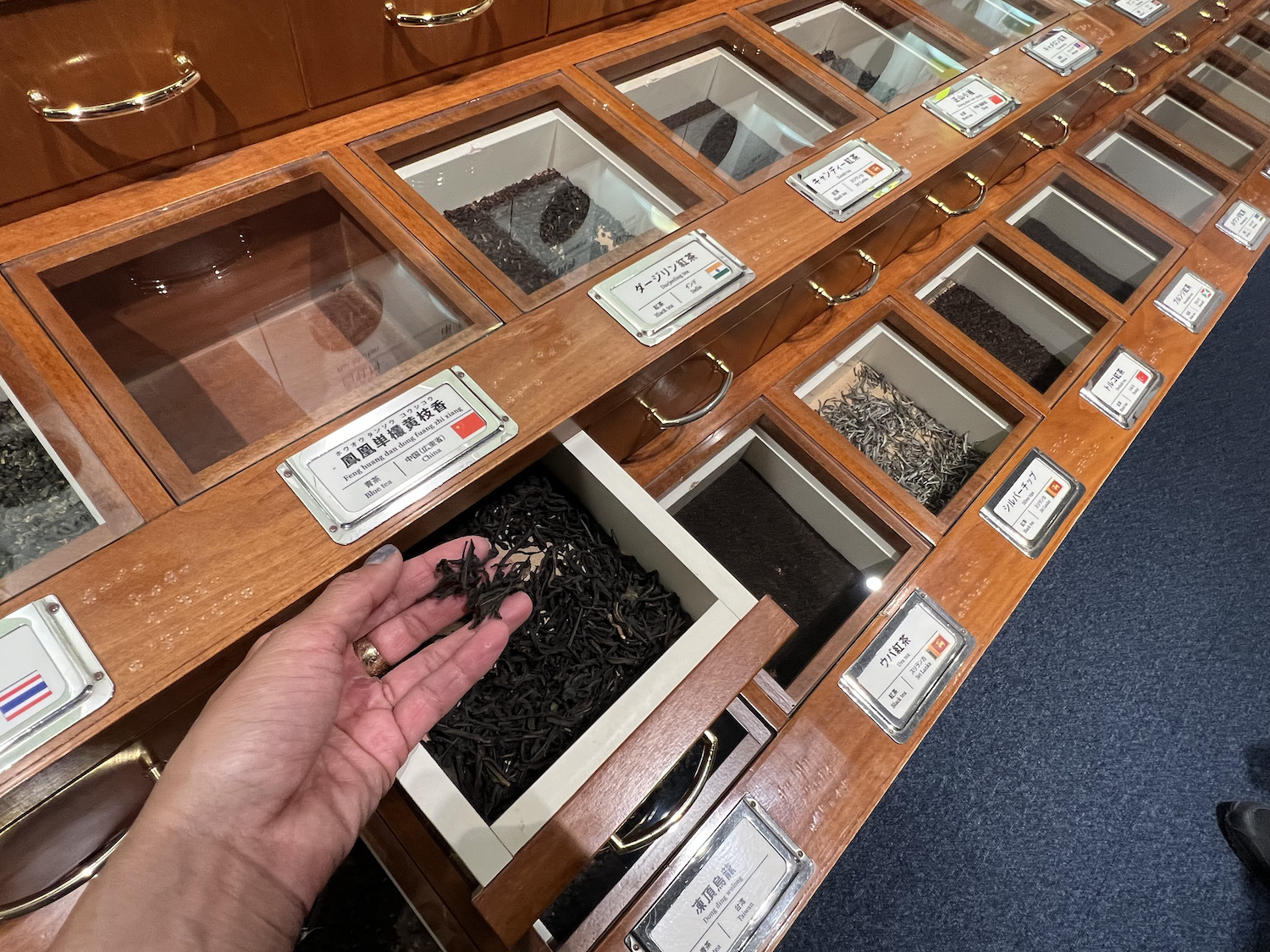 茶の都4