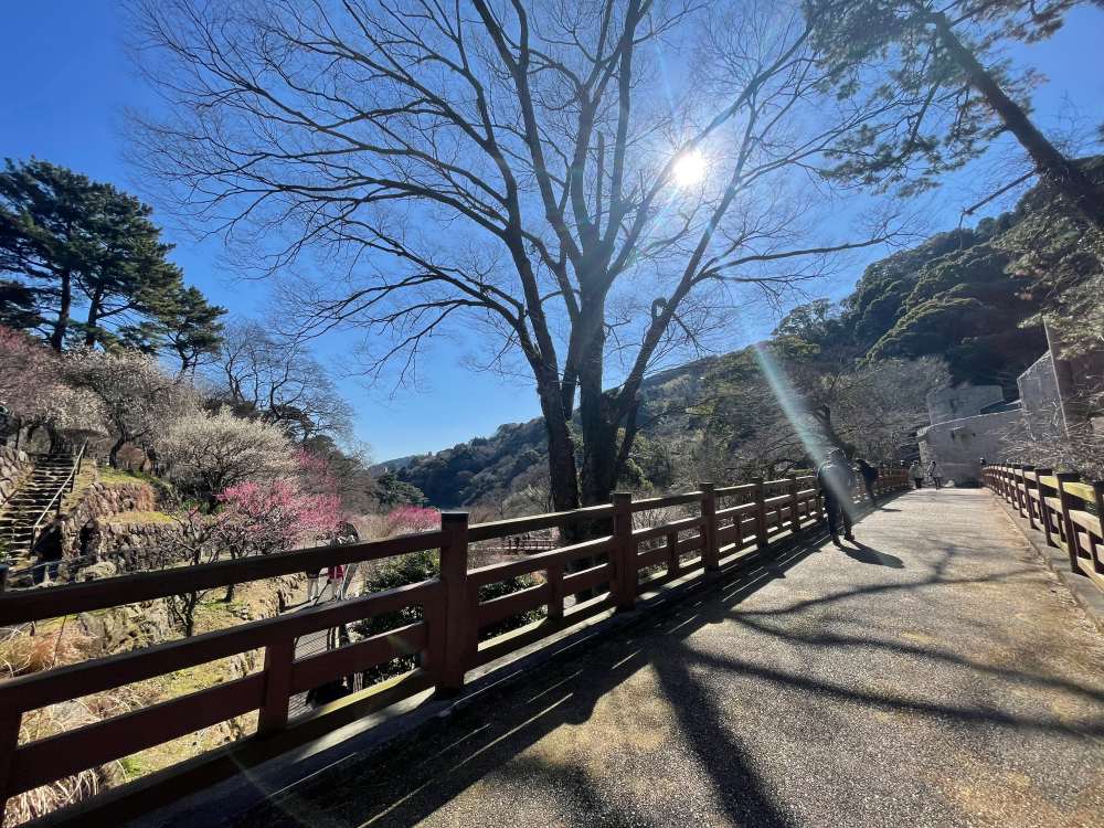 梅園橋