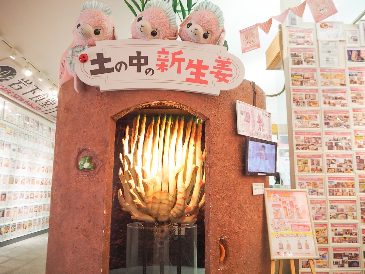 岩下の新生姜ミュージアム2