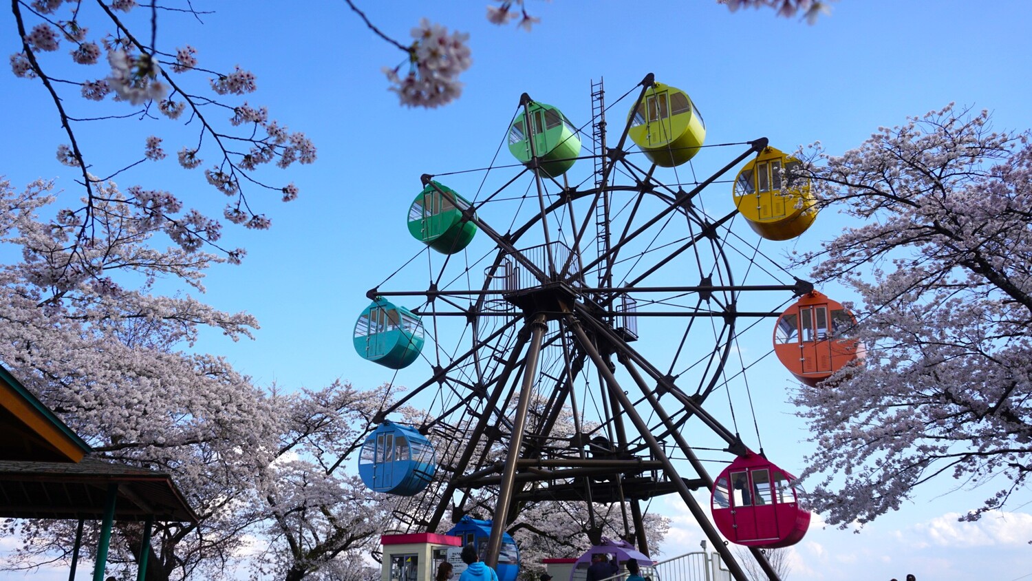 千手山公園2