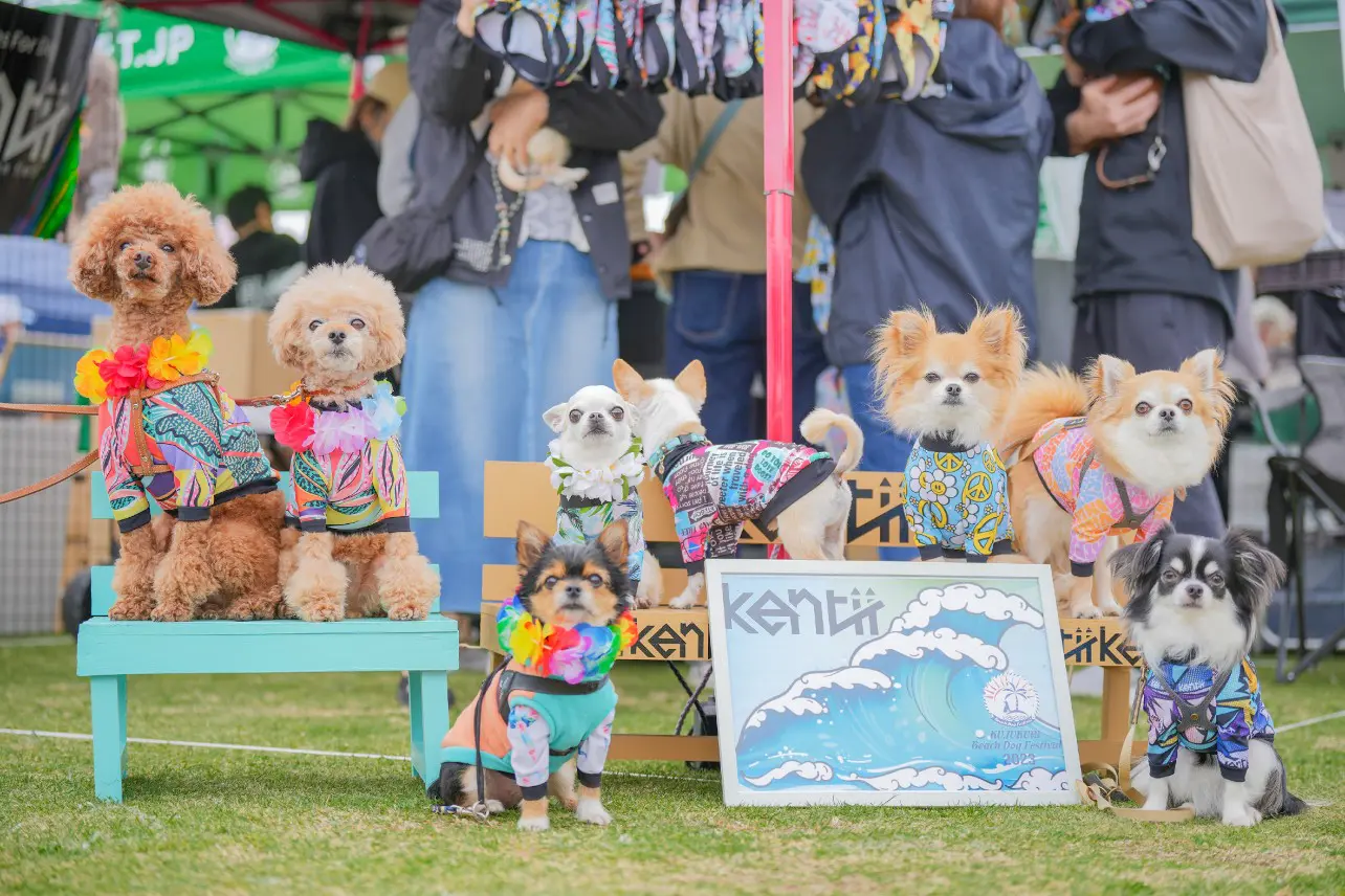 千葉】愛犬家必見！九十九里でビーチドッグフェスティバルが開催