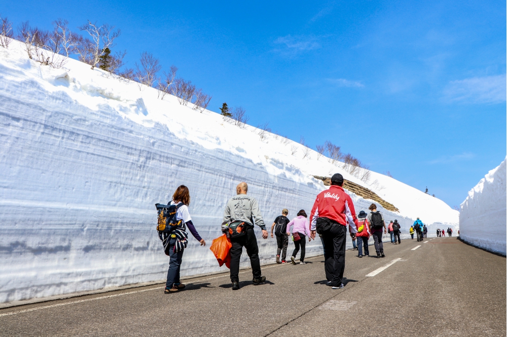【2024年受付終了】知床羅臼雪壁ウォーク｜半年間閉ざされていた知床横断国道をウォーキング！
