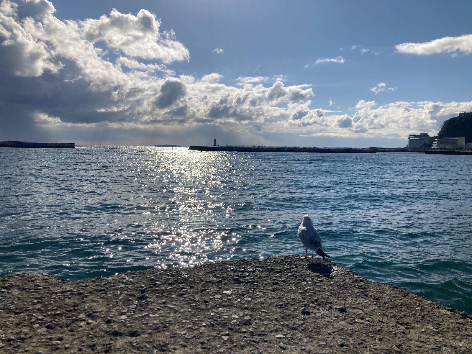 熱海サンビーチ