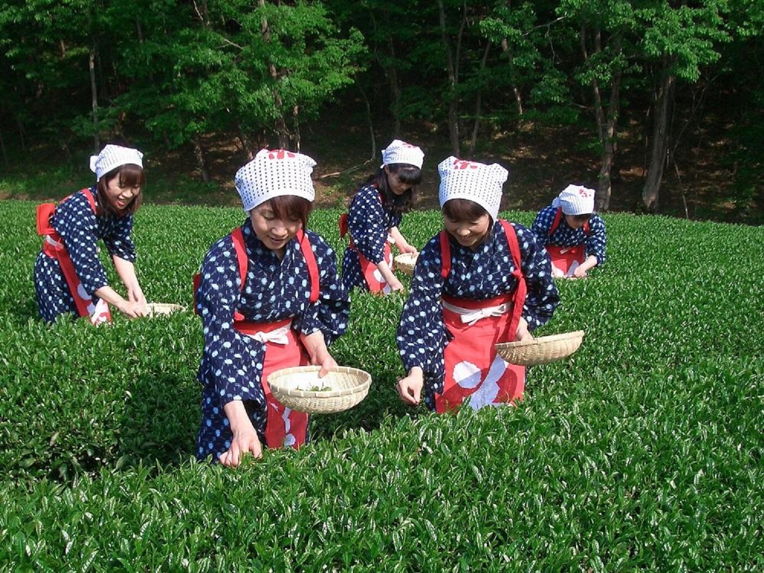 蔵屋鳴沢
