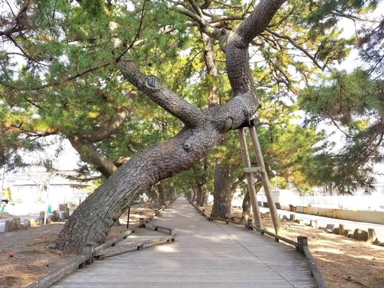 神の道