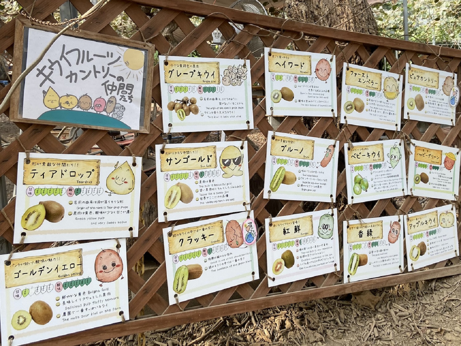 キウイフルーツカントリーJapan