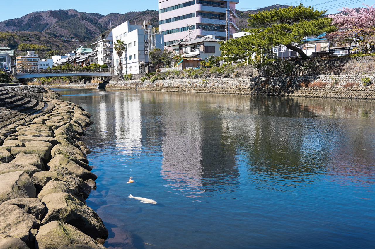 川口公園　松川