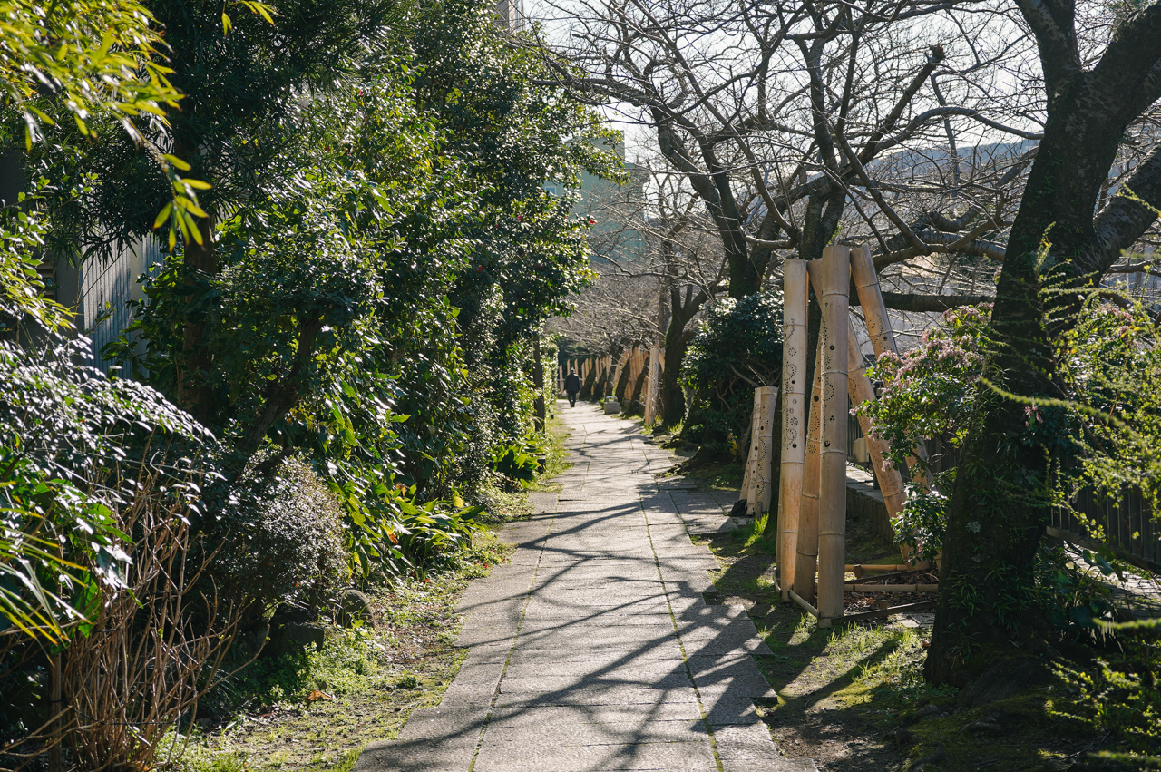 松川遊歩道　道１