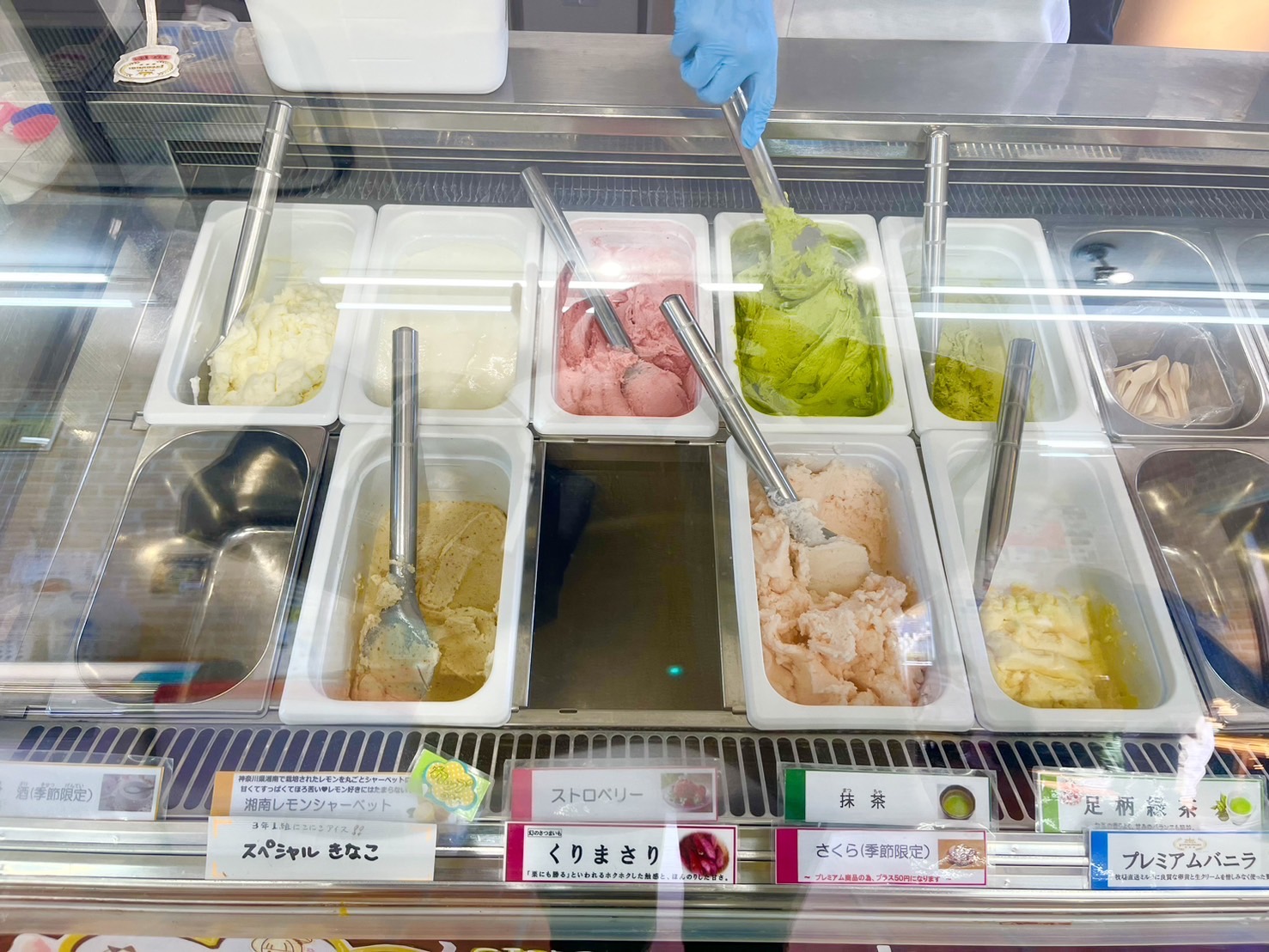 ジェラートのショーケース