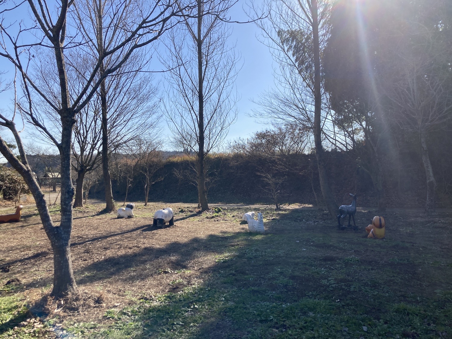 袖ヶ浦ふれあいどうぶつ縁_見学広場