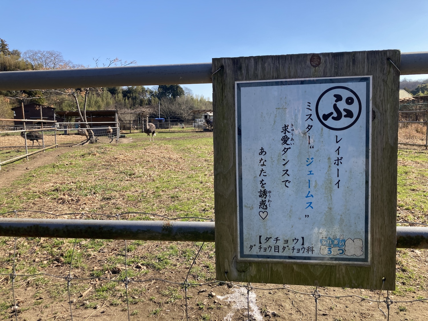 袖ヶ浦ふれあいどうぶつ縁_ふれあい看板