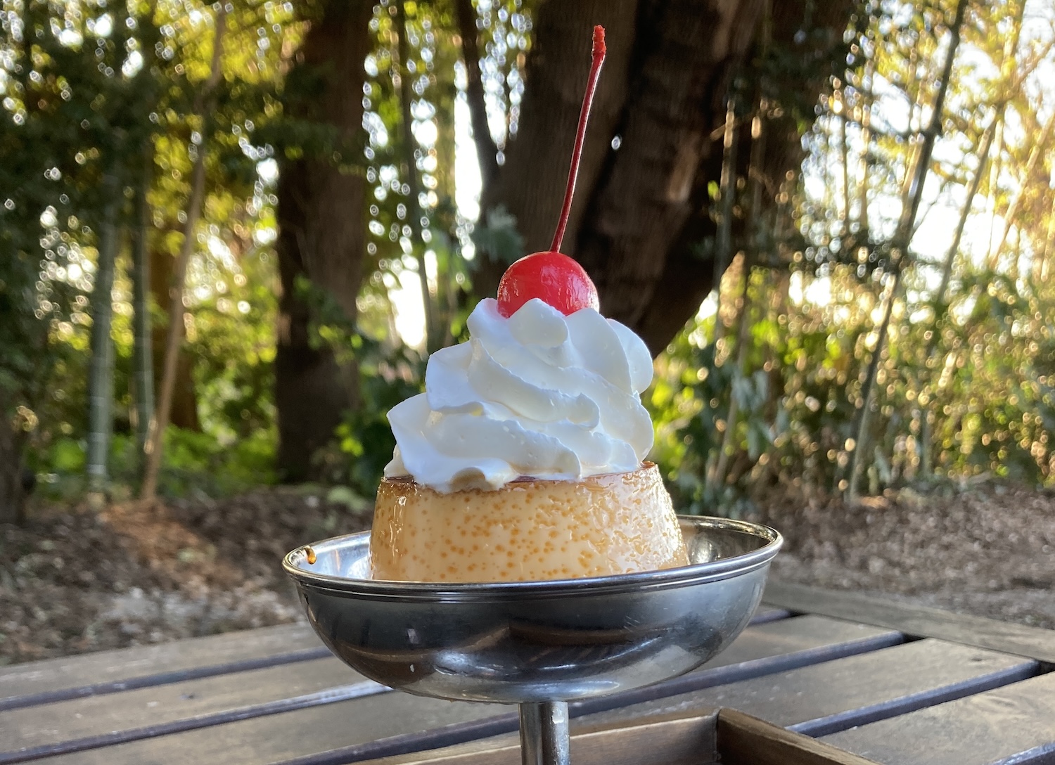 のうえんカフェ_プリン