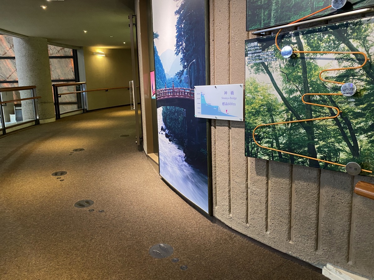 栃木県立博物館5