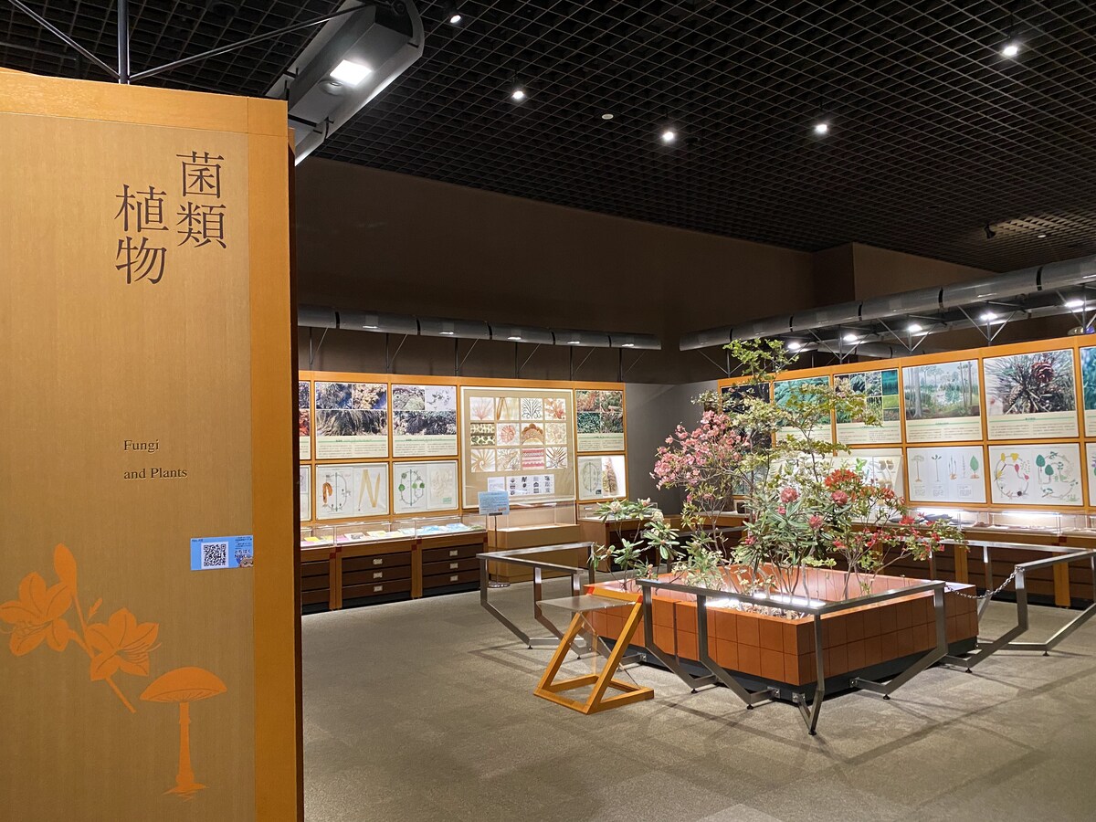 栃木県立博物館8