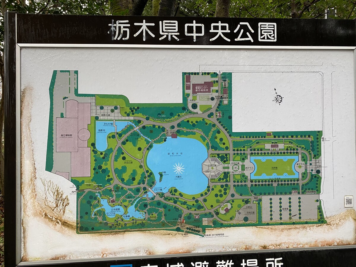 栃木県立博物館1