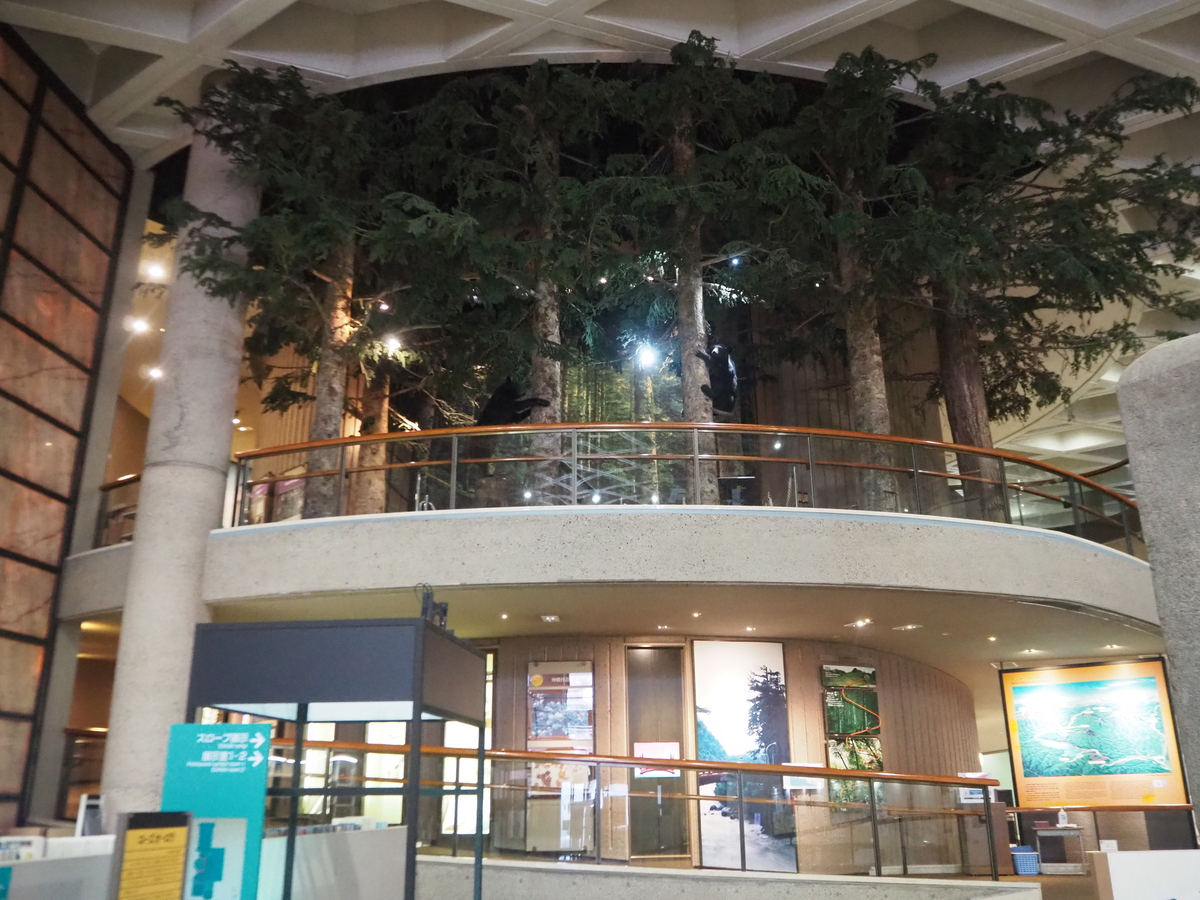 栃木県立博物館3