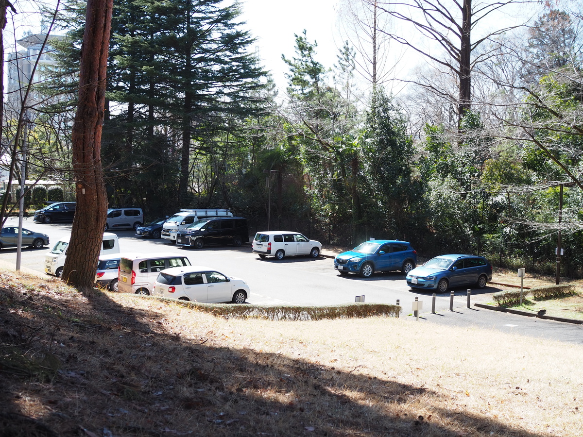 八幡山公園3
