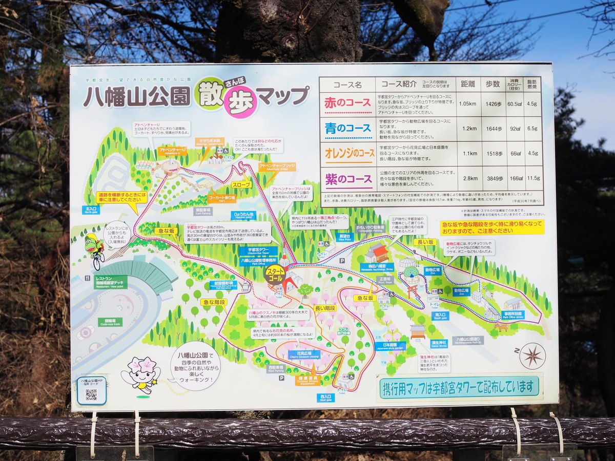 八幡山公園1