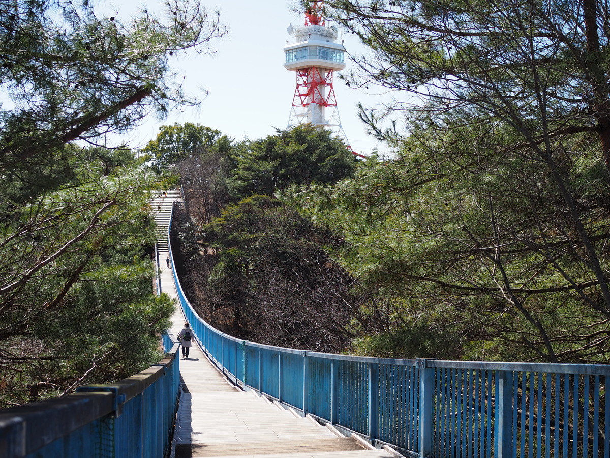 八幡山公園吊り橋
