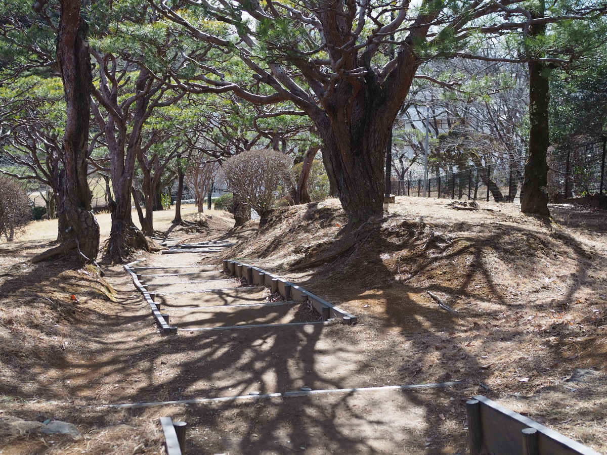 八幡山公園階段