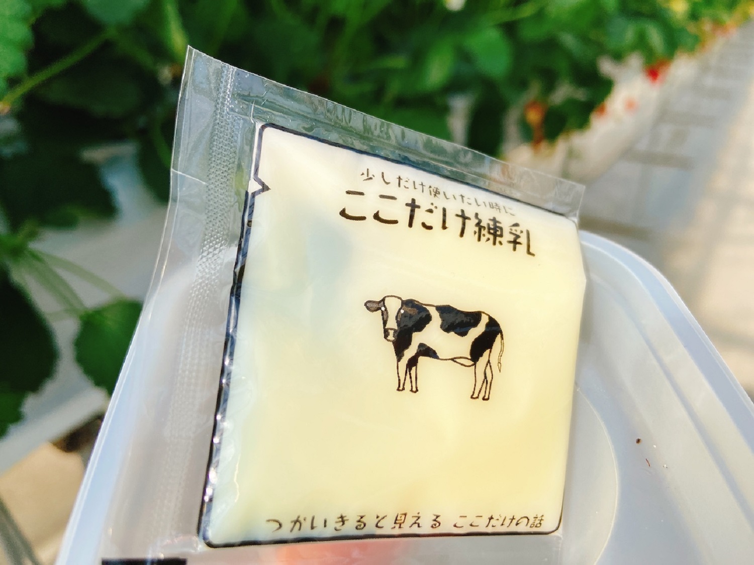 赤ずきんちゃんのおもしろ農園　練乳