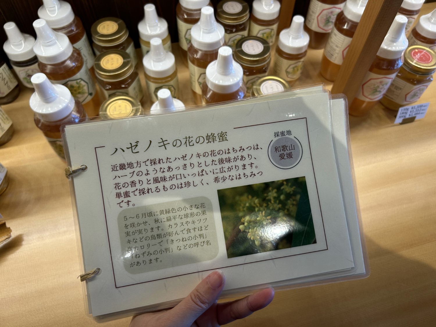 カフェあさみどり9