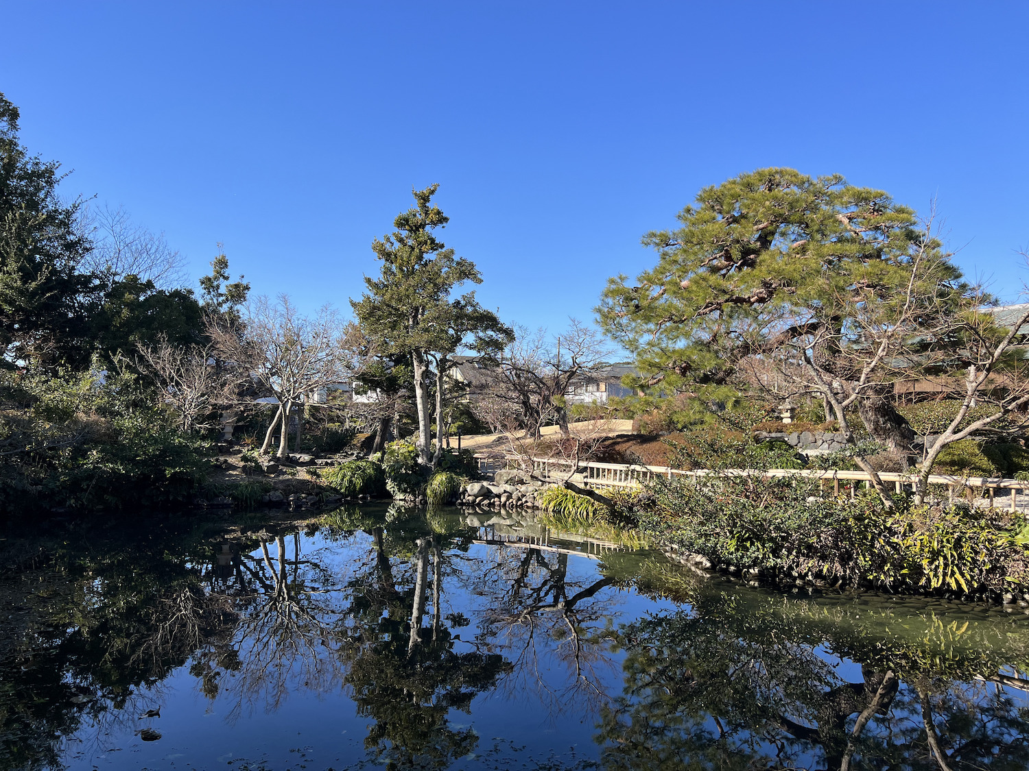 清水邸庭園