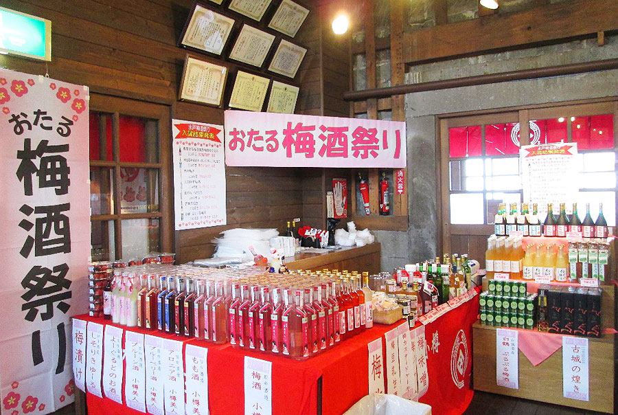 おたる梅酒祭
