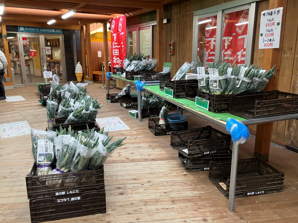 道の駅しもにた