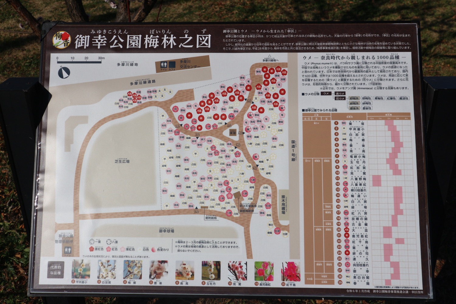 御幸公園看板