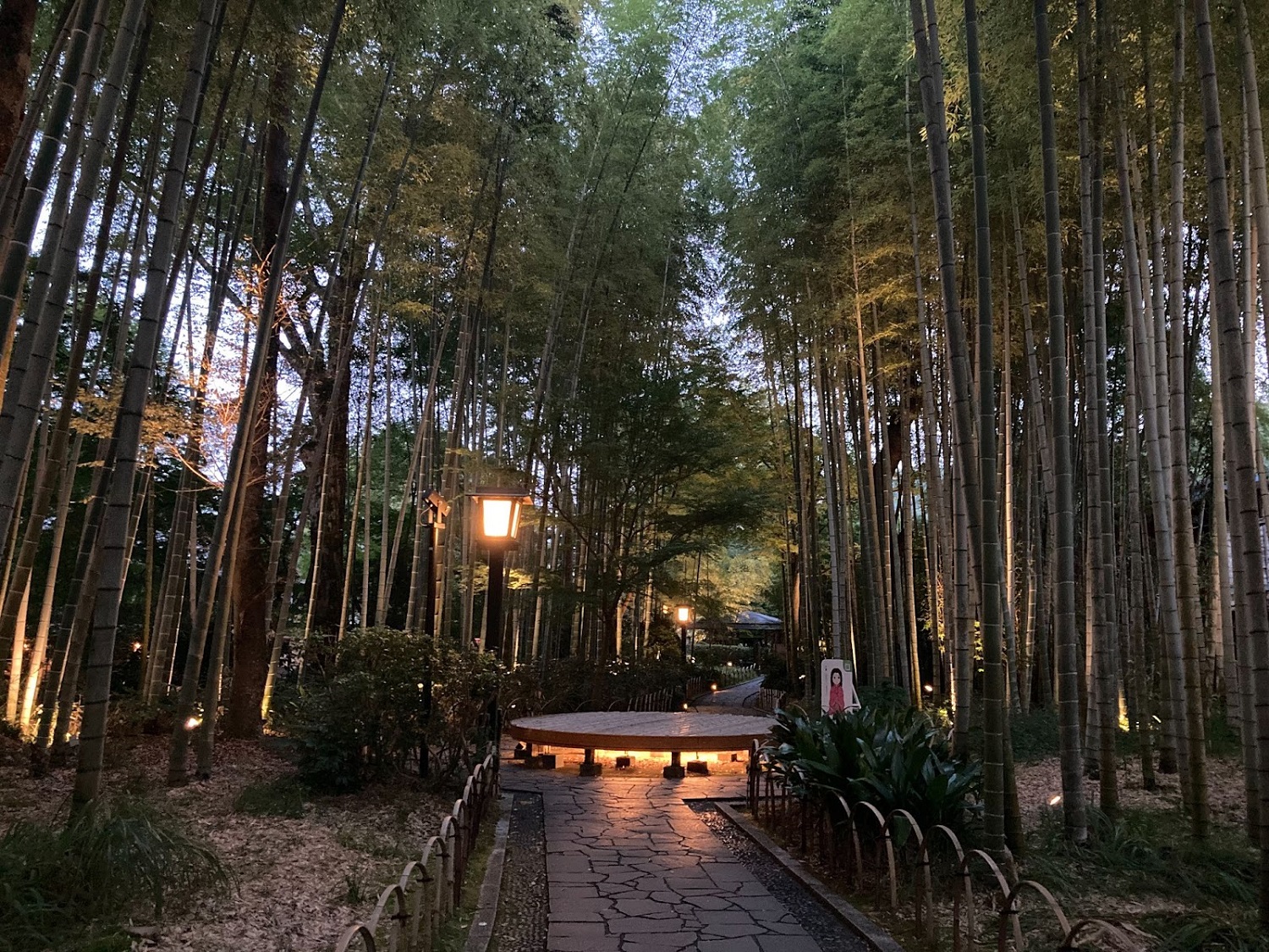竹林の小径