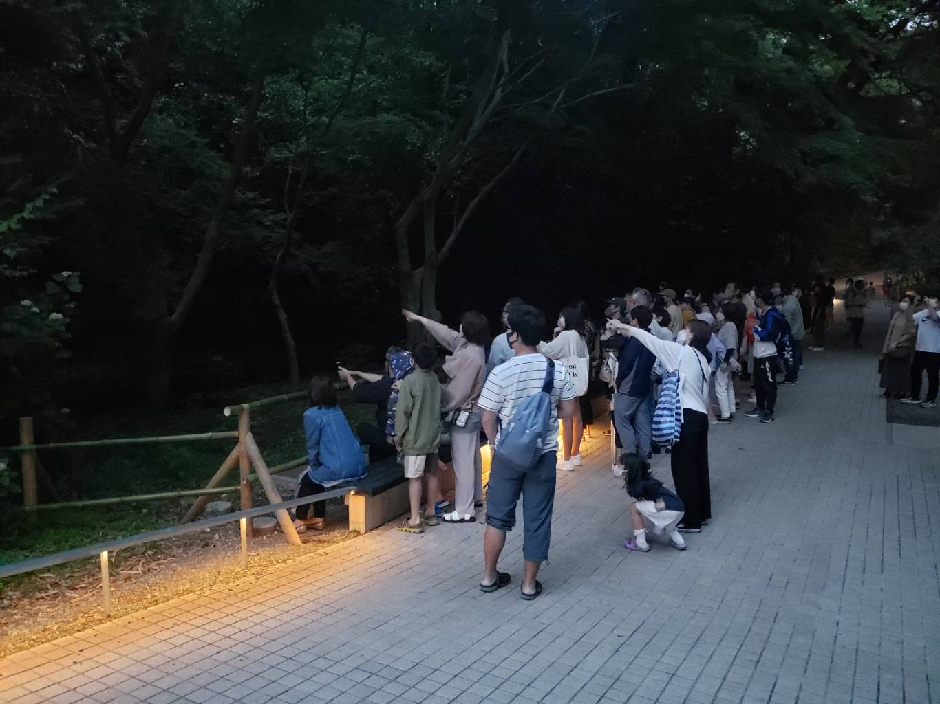 ほたる観賞会場