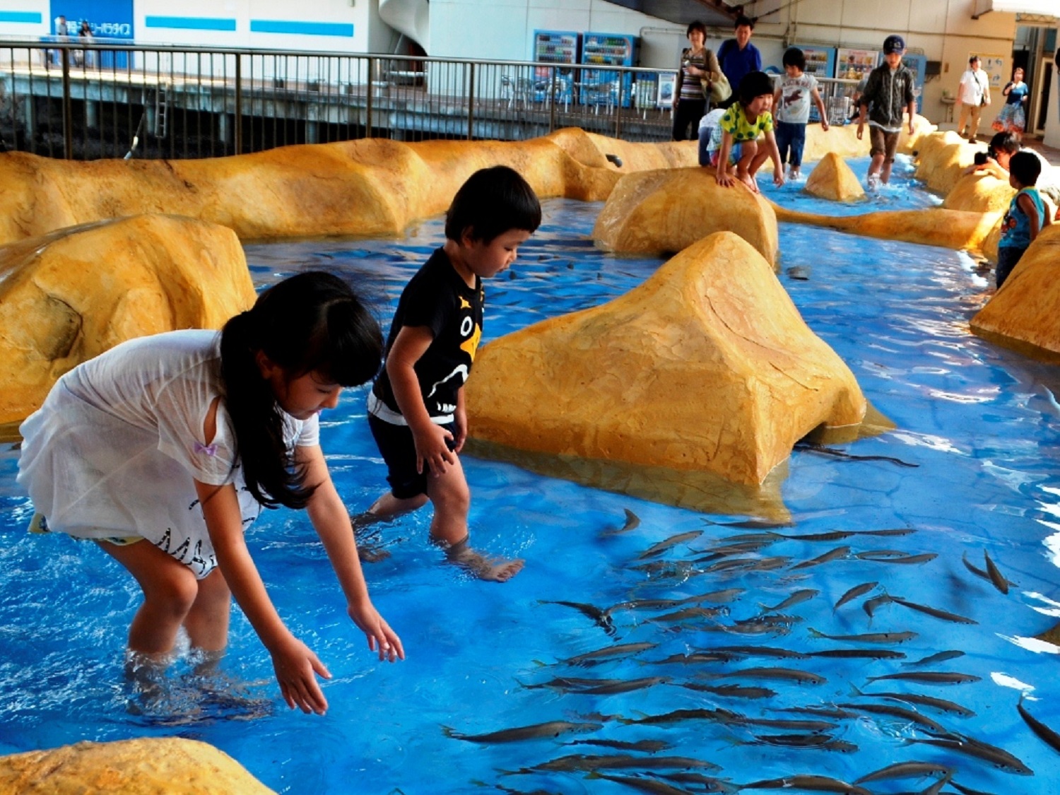 伊豆の子連れ旅行に人気のスポット15選！観光や体験を家族で楽しもう