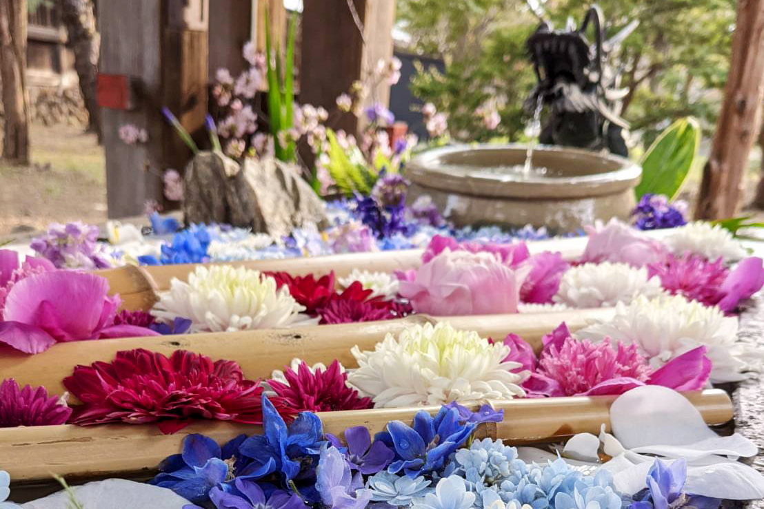 札幌護国神社の花手水