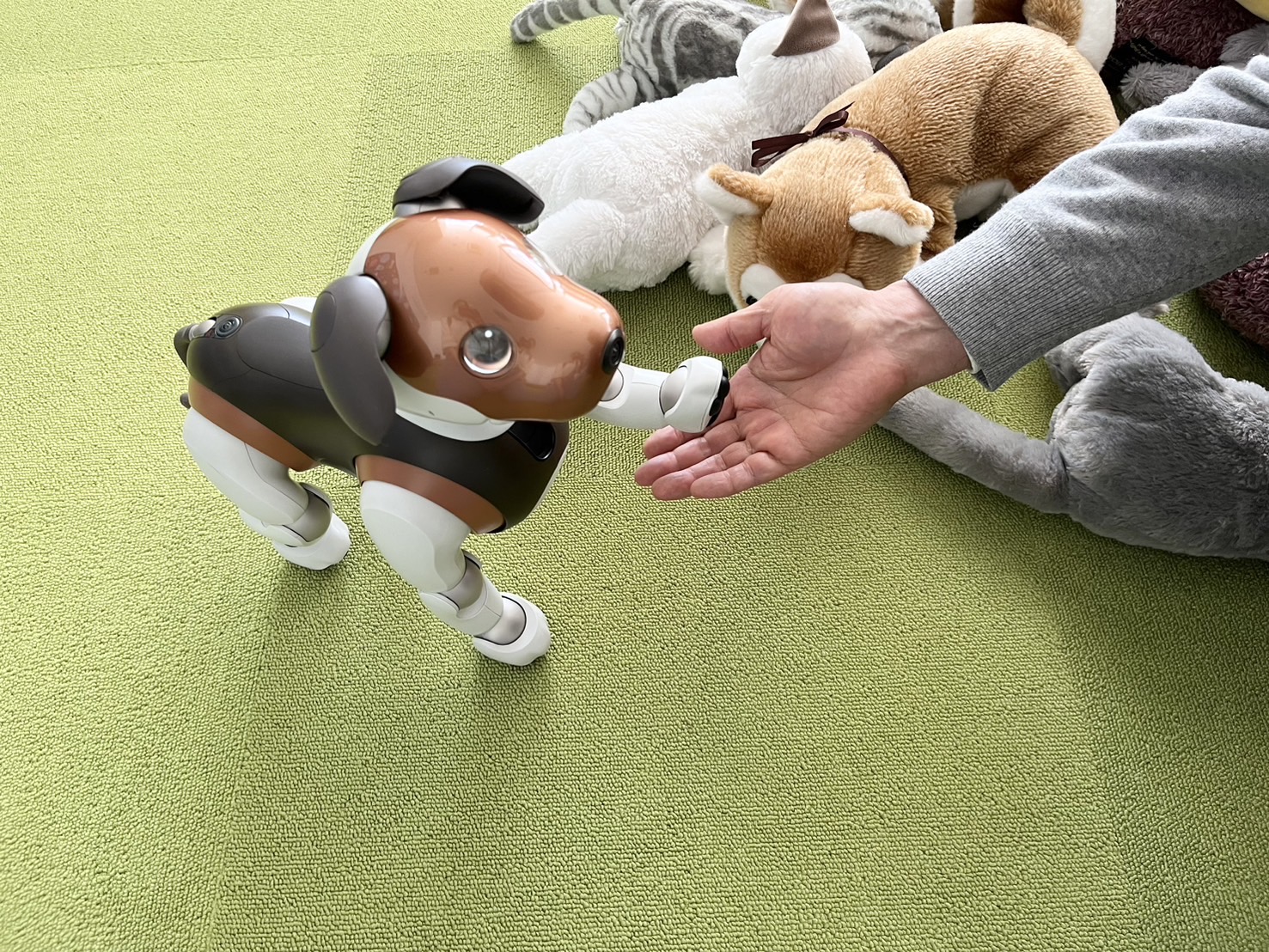 動物ロボット、アイボ