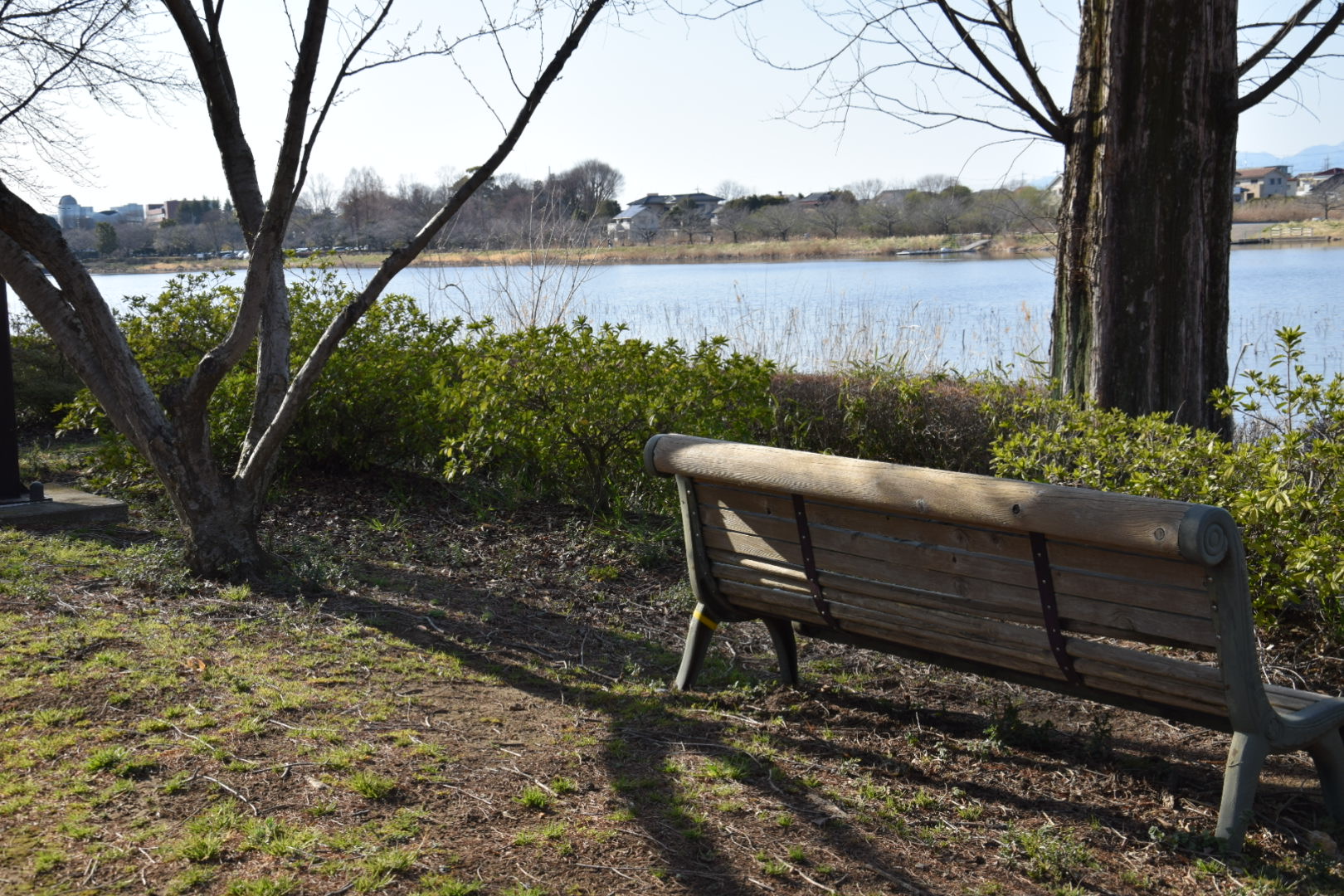 つつじが岡公園_城沼