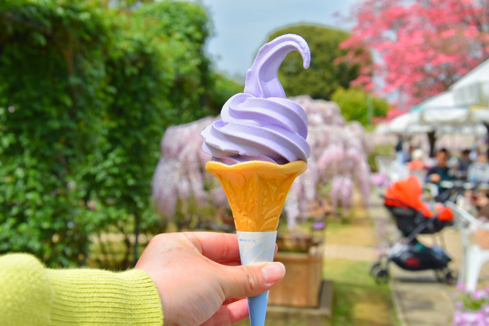 あしかがフラワーパーク_藤の花ソフト