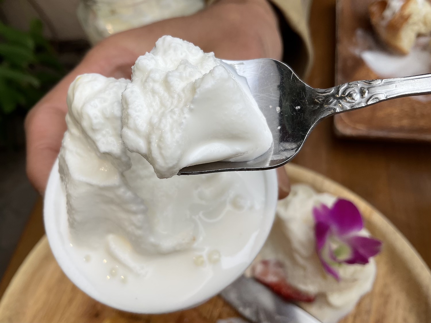 伊豆高原ケニーズカフェ　ソフトクリーム近影